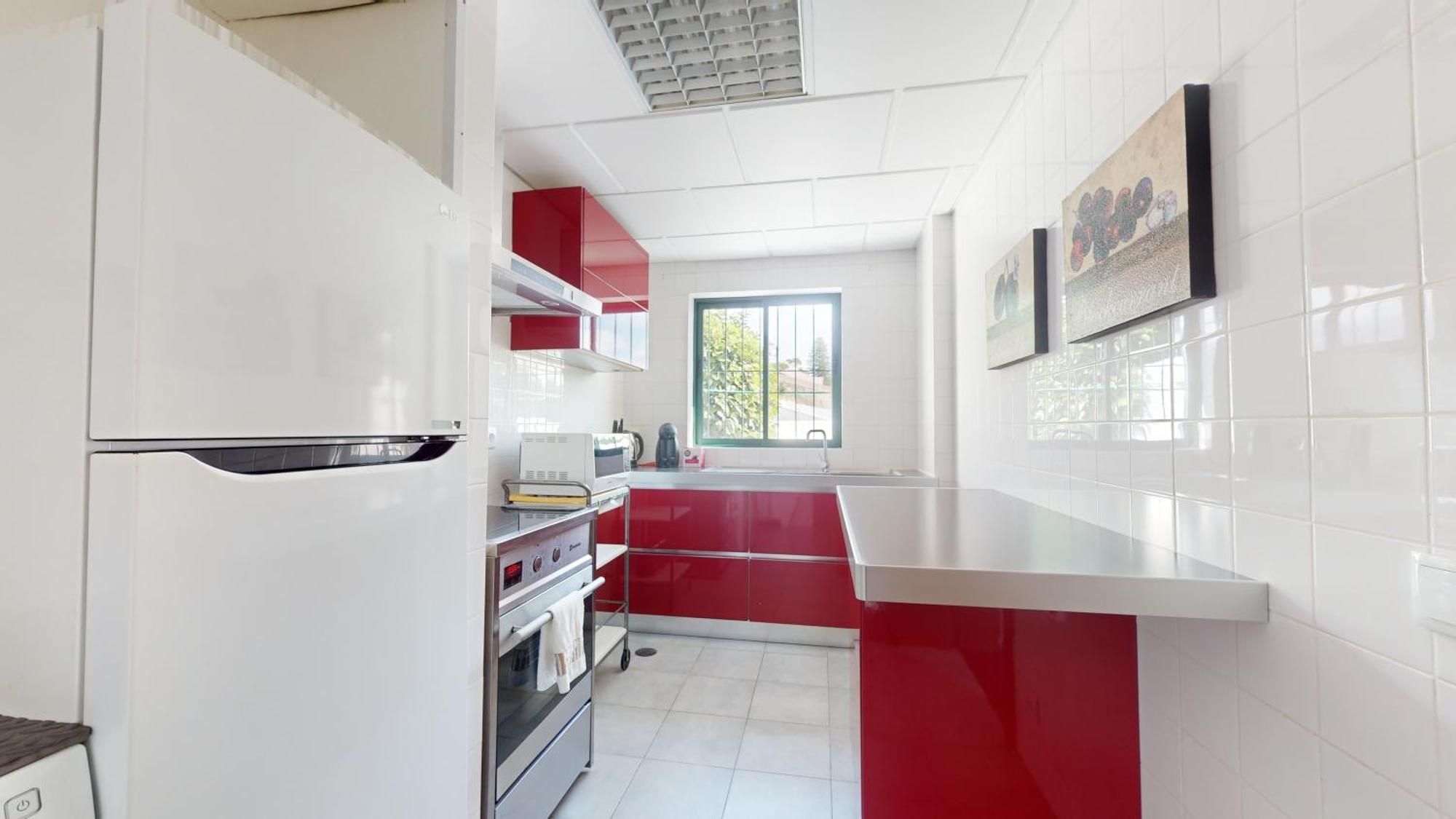 Azores Pedra Apartments - T0 E T1 Ponta Delgada Buitenkant foto