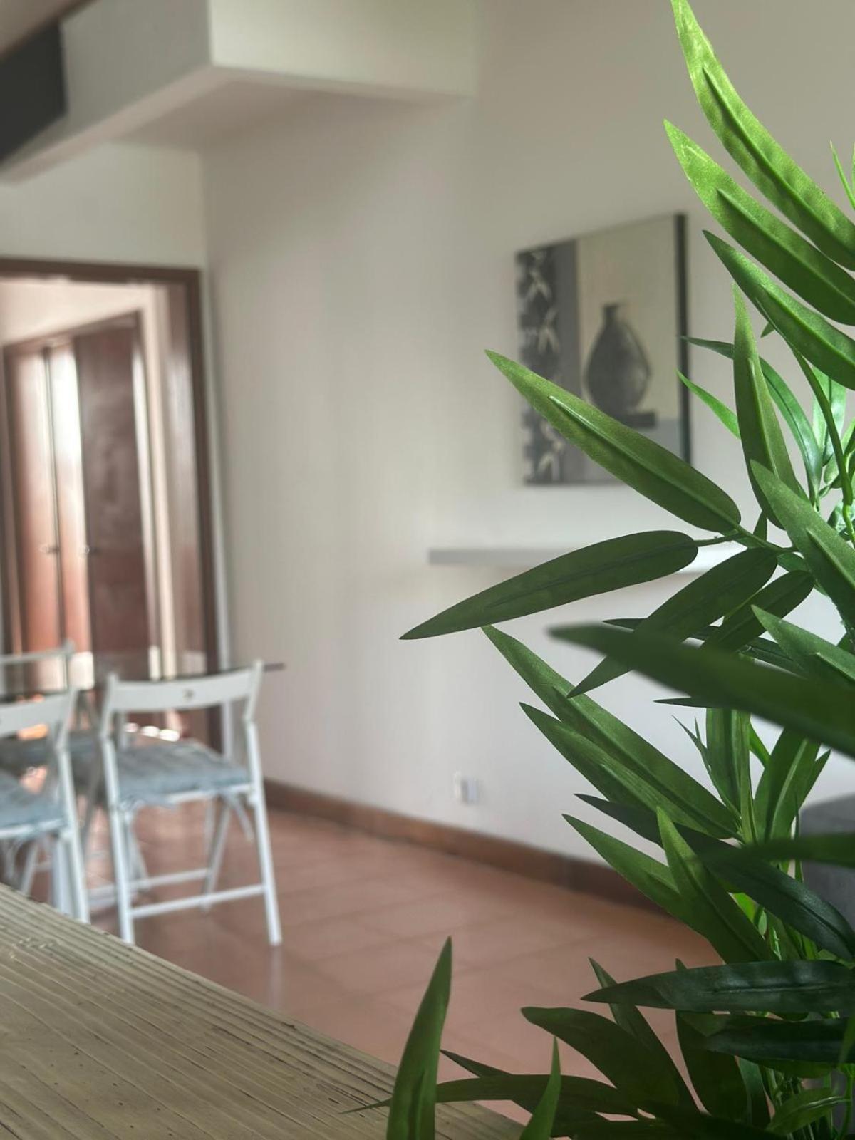 Azores Pedra Apartments - T0 E T1 Ponta Delgada Buitenkant foto